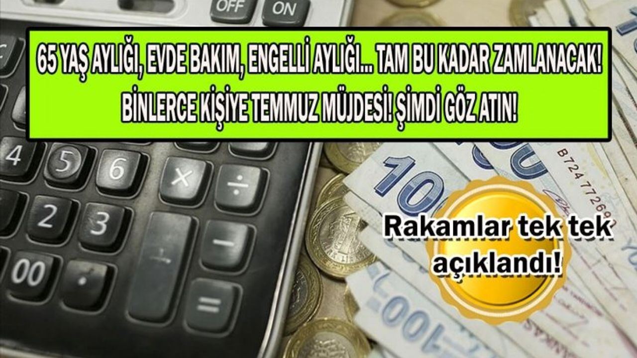 65 Yaş Aylığı, Engelli Aylığı ve Evde Bakım Parası Temmuz Ayında Zam Alacak