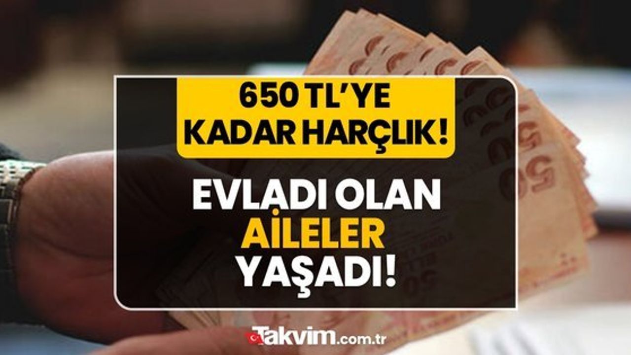 Çocuk Destek Bileşeni Nedir? Başvuru Şartları Nelerdir?