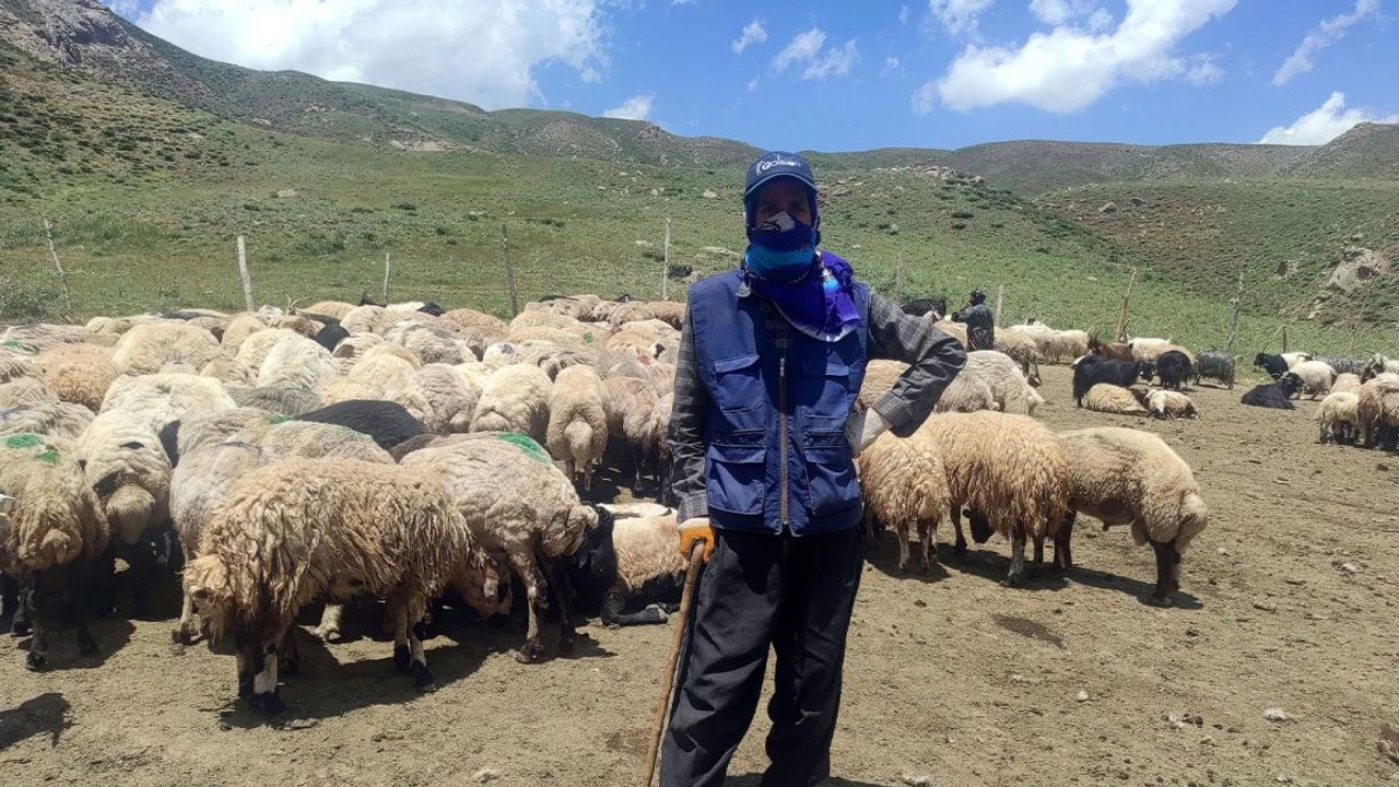 İranlı Çobanlar Türk Besicilere Yardım Ediyor