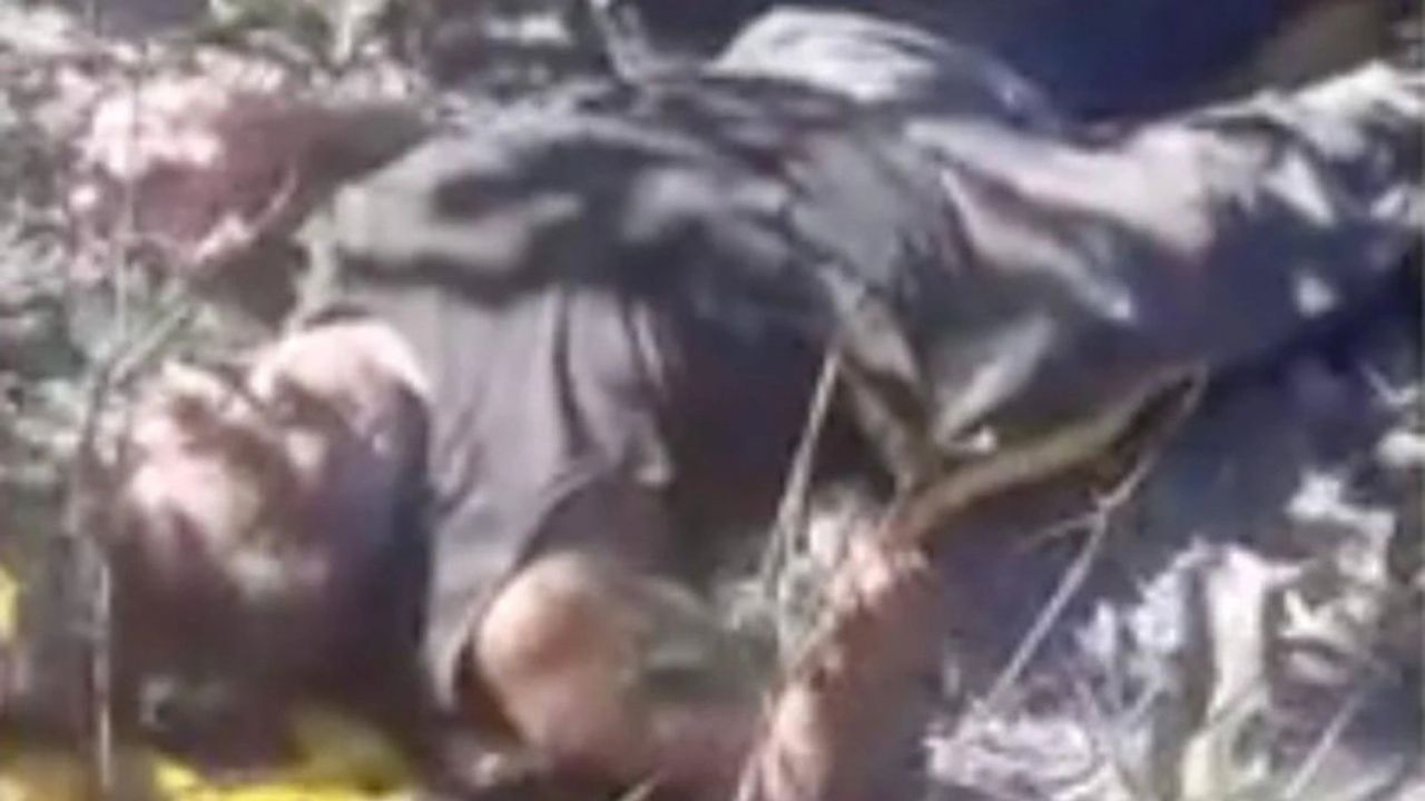 82 Yaşındaki Brezilyalı Adam Ormanda Mahsur Kaldı ve Hayatta Kalmak İçin Beyaz Karıncaları Yedi