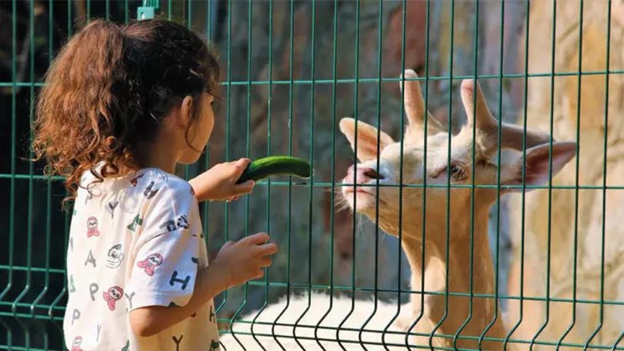 Dönence Dizisi Rüzgar Karakteri ve Aspergen Sendromu