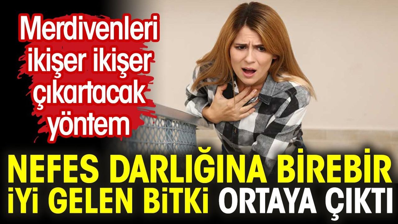 Tatula Bitkisi Astıma İyi Geliyor
