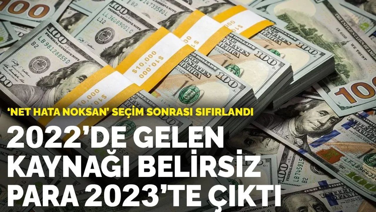 Net Hata Noksan: Türkiye'de 2022'de Gelen Kaynağı Belirsiz Para 2023'de Çıktı