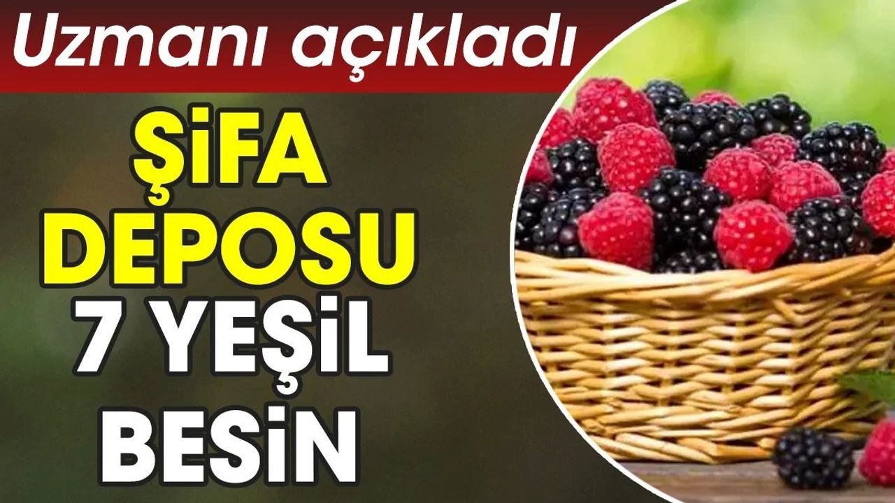 Şifa Deposu 7 Yeşil Besin