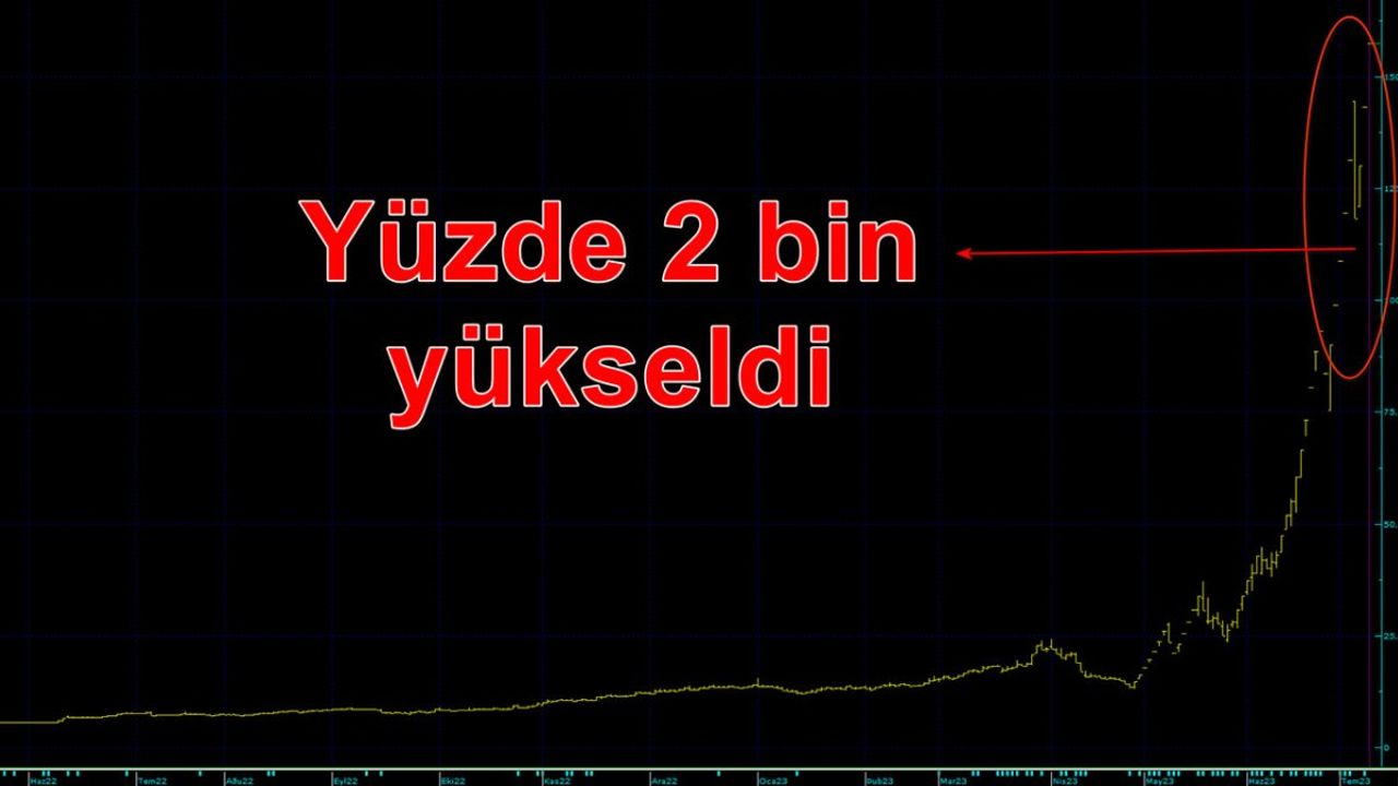 Avrupa Yatırım Holding Hisse Senedi Tavan Yaptı