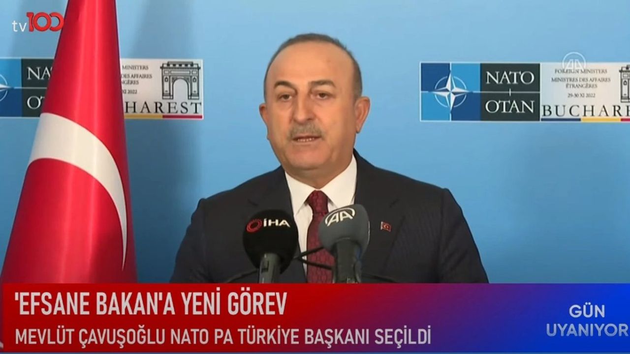 Mevlüt Çavuşoğlu NATO PA Türk Delegasyonu Başkanı Seçildi