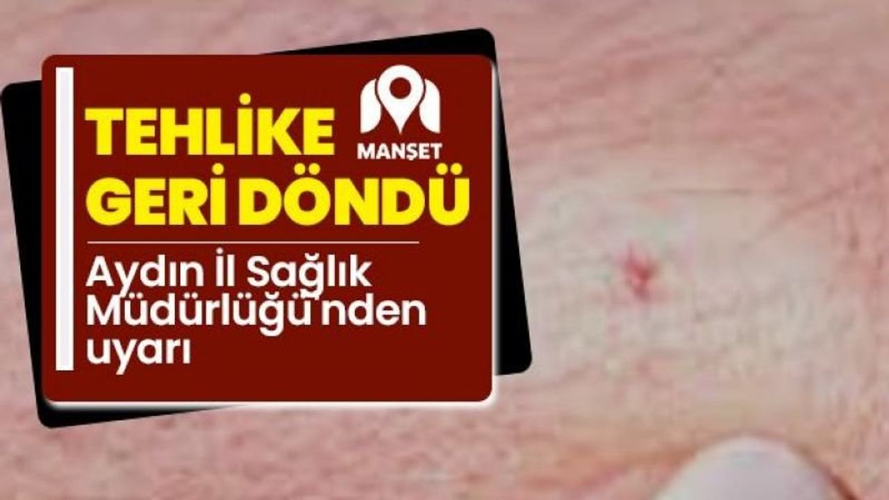 Aydın Sağlık Müdürlüğü'nden Kırım-Kongo Kanamalı Ateşi Uyarısı