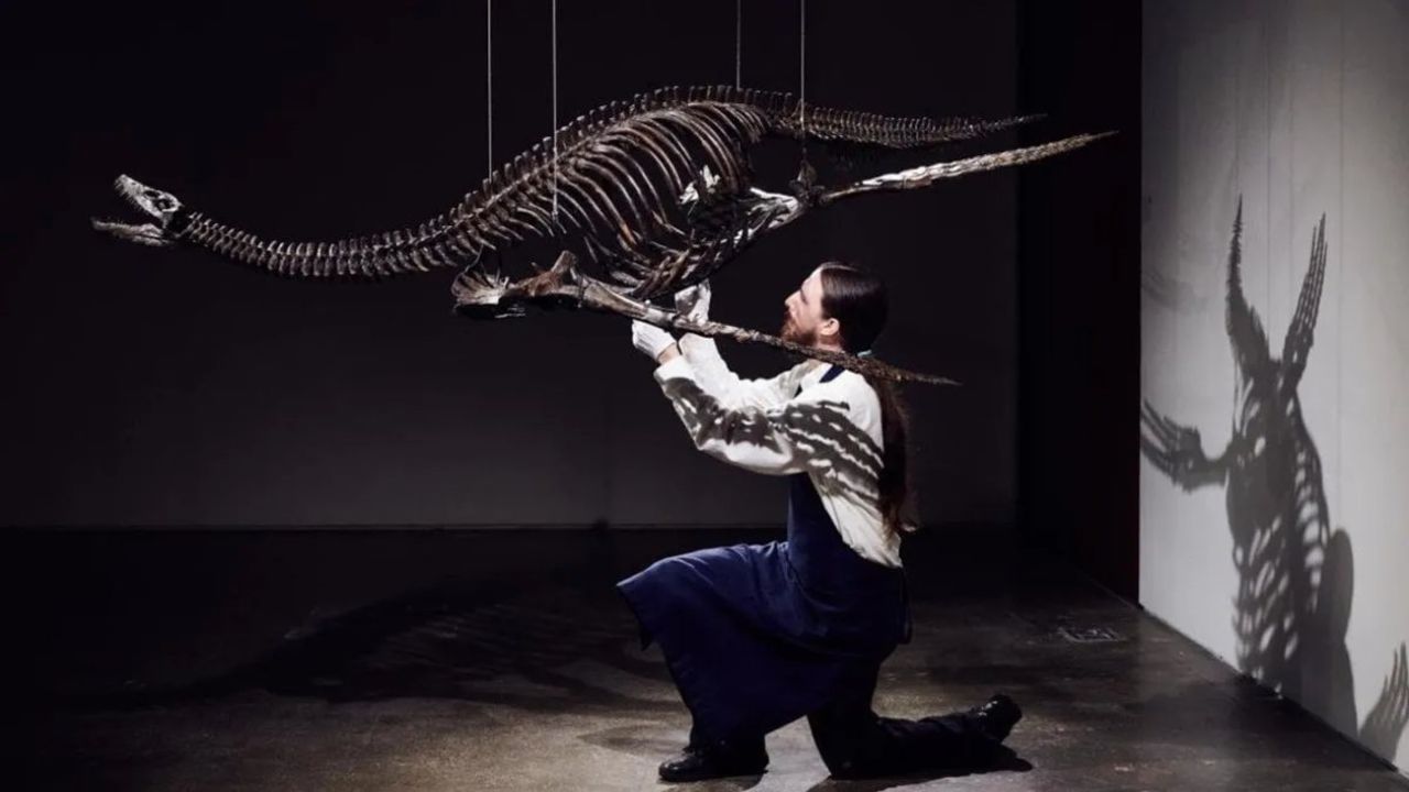 New York'ta Düzenlenecek Açık Artırmada Jurassic Park İskeleti Satışa Çıkacak