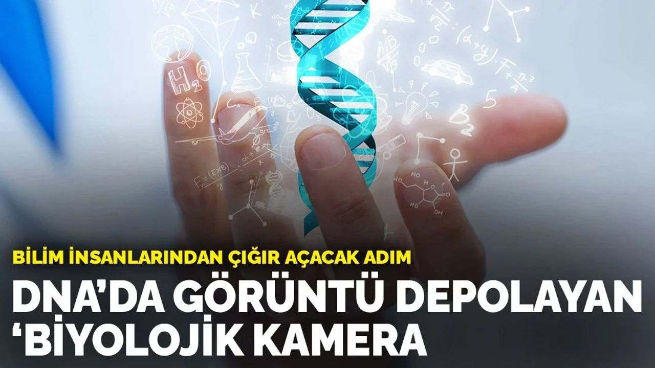 DNA'da Görüntü Depolayan Biyolojik Kamera