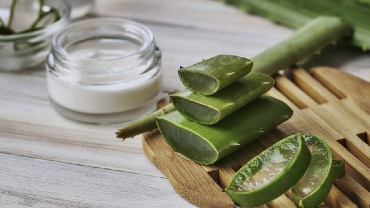 Güneşin Yanık Etkilerine Karşı Doğal Koruyucu: Aloe Vera