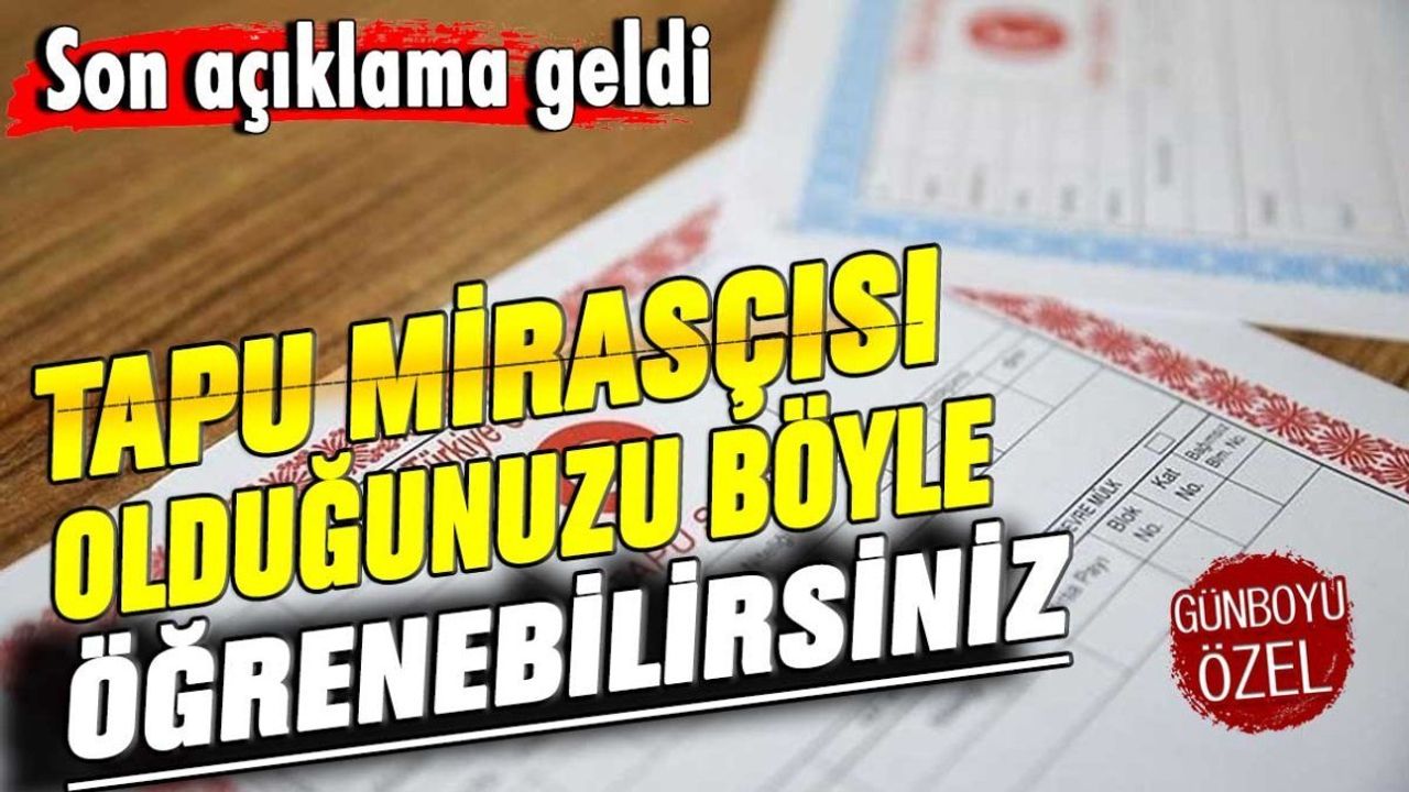 Tapu Mirasçısı Olarak Nasıl Öğrenebilirsiniz?