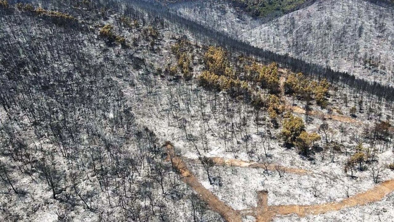 Muğla'nın Milas İlçesinde Çıkan Yangın Söndürüldü