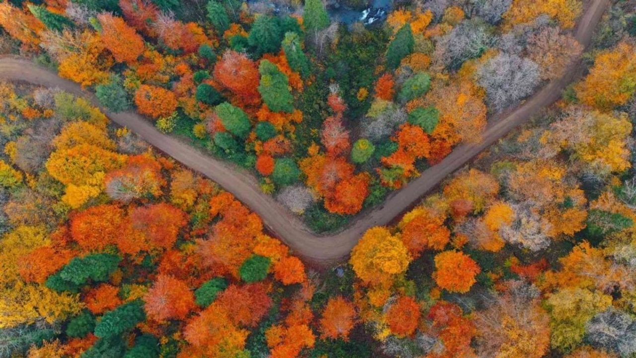 Karabük Ormanlarına Giriş-Çıkışlar Yasaklandı