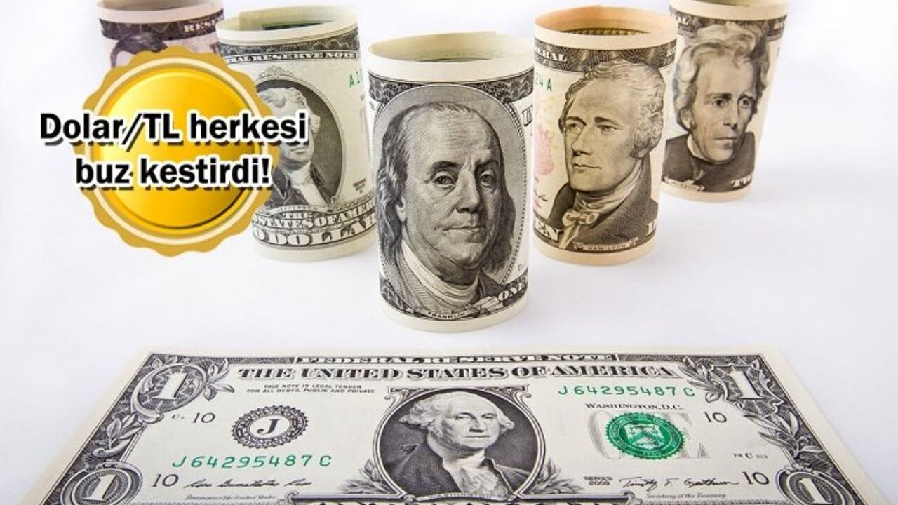 Merkez Bankası Dolar Tahmini: Dolar Tam 31.44 TL Olacak!