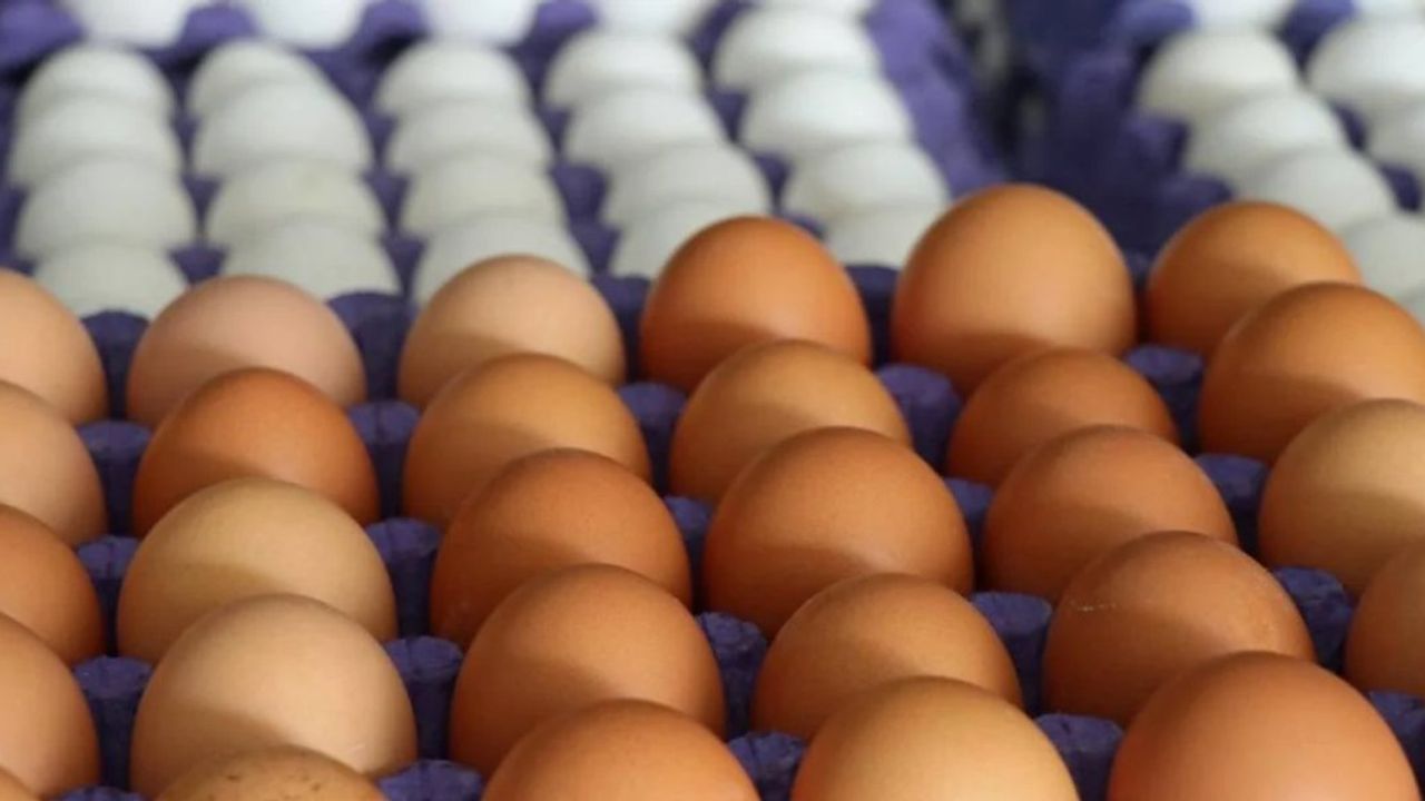 Türk Yumurtalarında Kanserojen Madde Bulundu, Alımlar Durduruldu