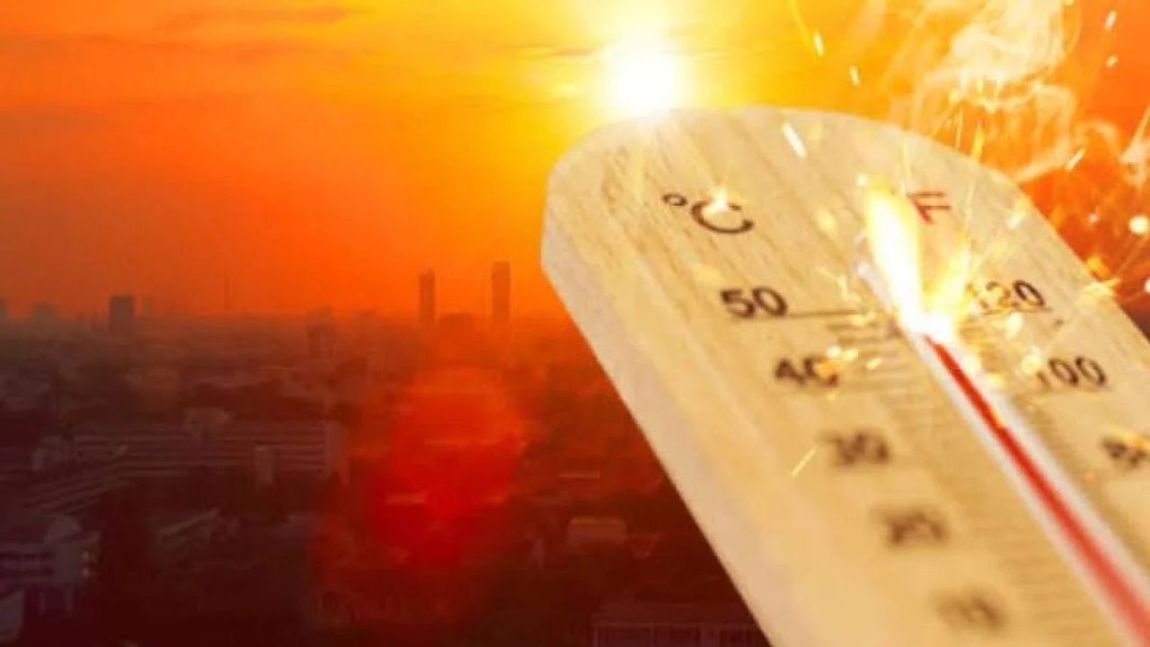 El Nino Sıcağı ve Meteoroloji Uyarısı