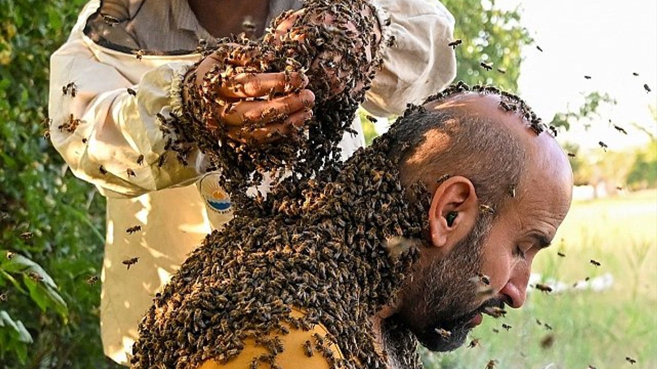 İşçilerin Grev Hazırlıkları: Sinema, Nakliye ve Otomobil Sektöründe Gerginlik