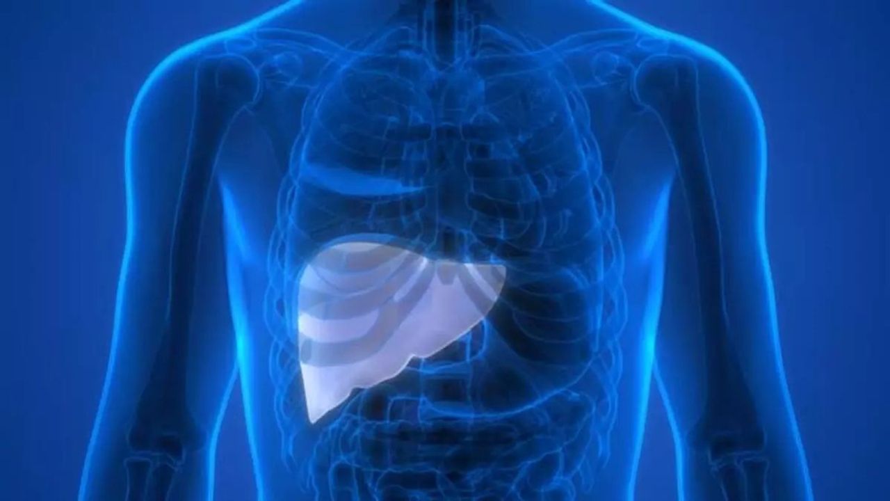 Hepatit Nedir ve Belirtileri Nelerdir?