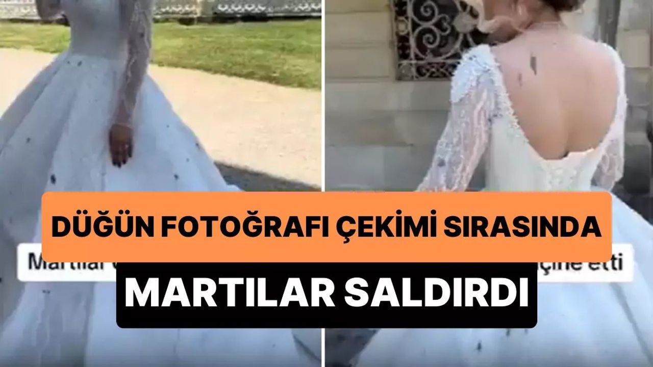 Binlerce Liralık Gelinlik Giyen Gelinin Martı Şanssızlığı