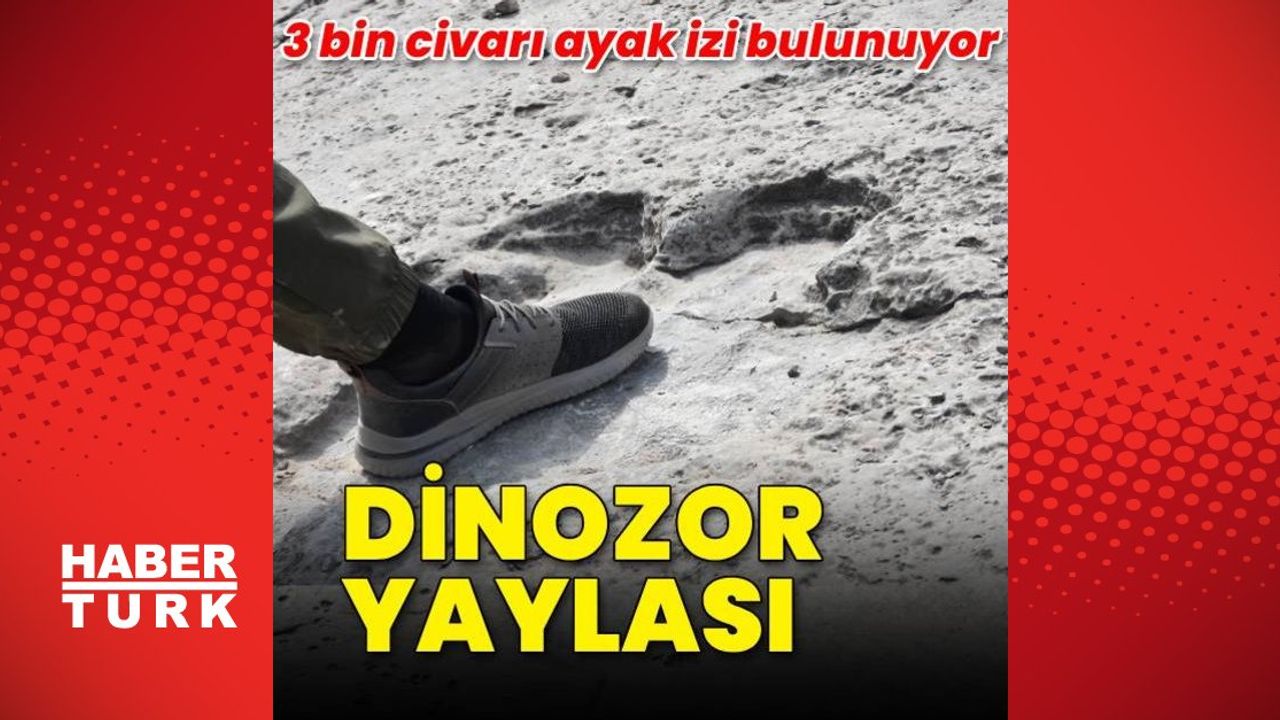 Türkmenistan'da Dinozor Ayak İzleri Bulundu