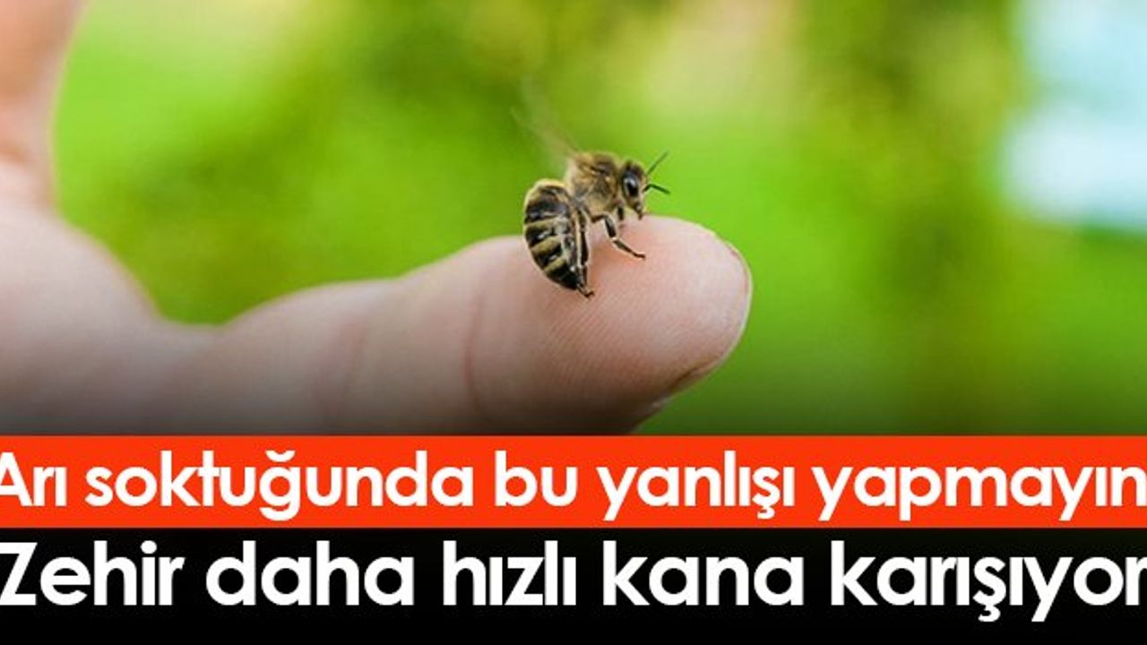 Arı Soktuğunda Bu Yanlışı Yapmayın!