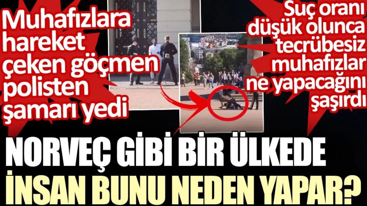 Norveç’te Kraliyet Muhafızlarına Sataşan Göçmen Polisten Şamarı Yedi