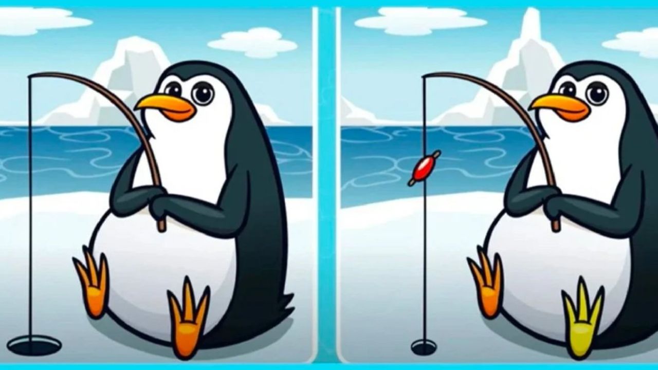 2 Penguen Arasındaki 5 Farkı Bulun