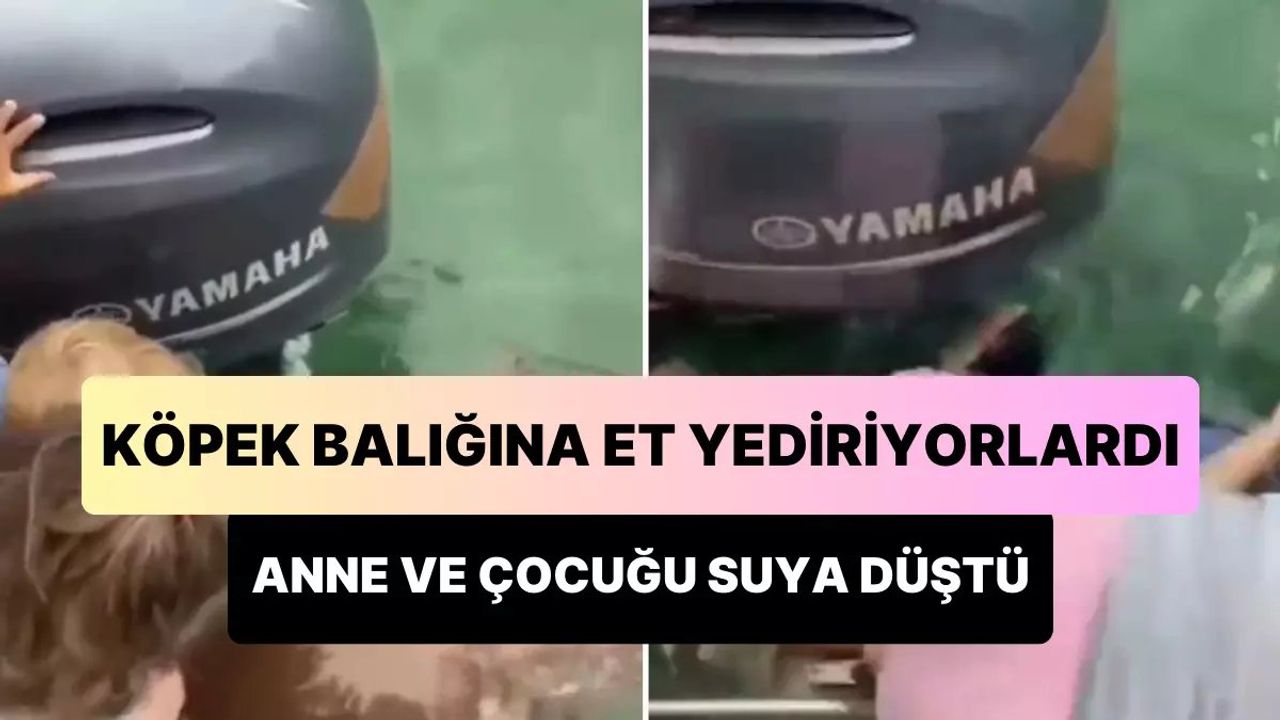 Anne ve Çocuğu Köpek Balığını Beslerken Denize Düştüler