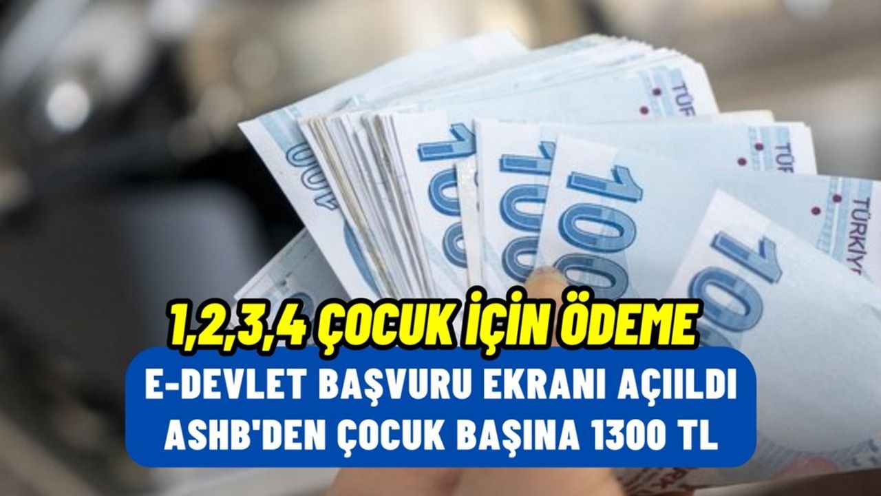 1,2,3,4 Çocuk İçin e-Devlet Başvuruları Başladı! ASHB'den 1300 TL Kırtasiye Yardımı Veriliyor