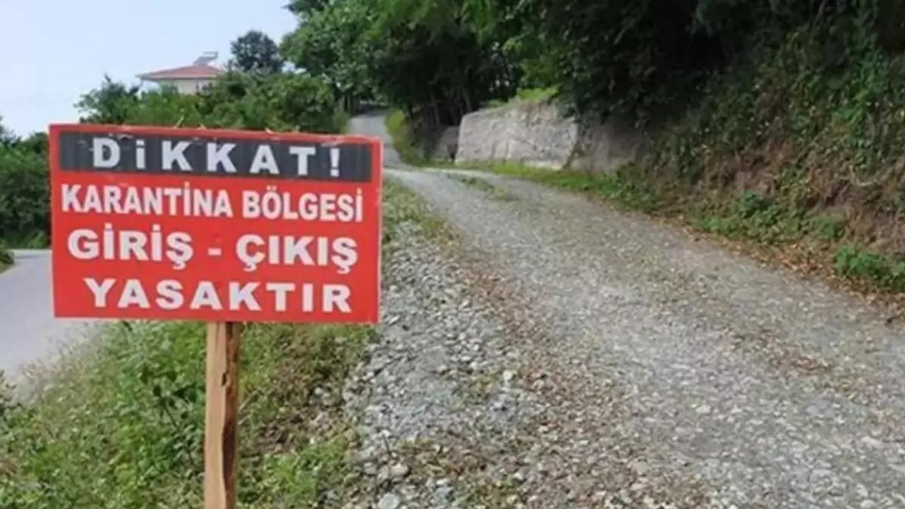 Kastamonu'nun Taşköprü İlçesinde Şap Hastalığı Alarmı