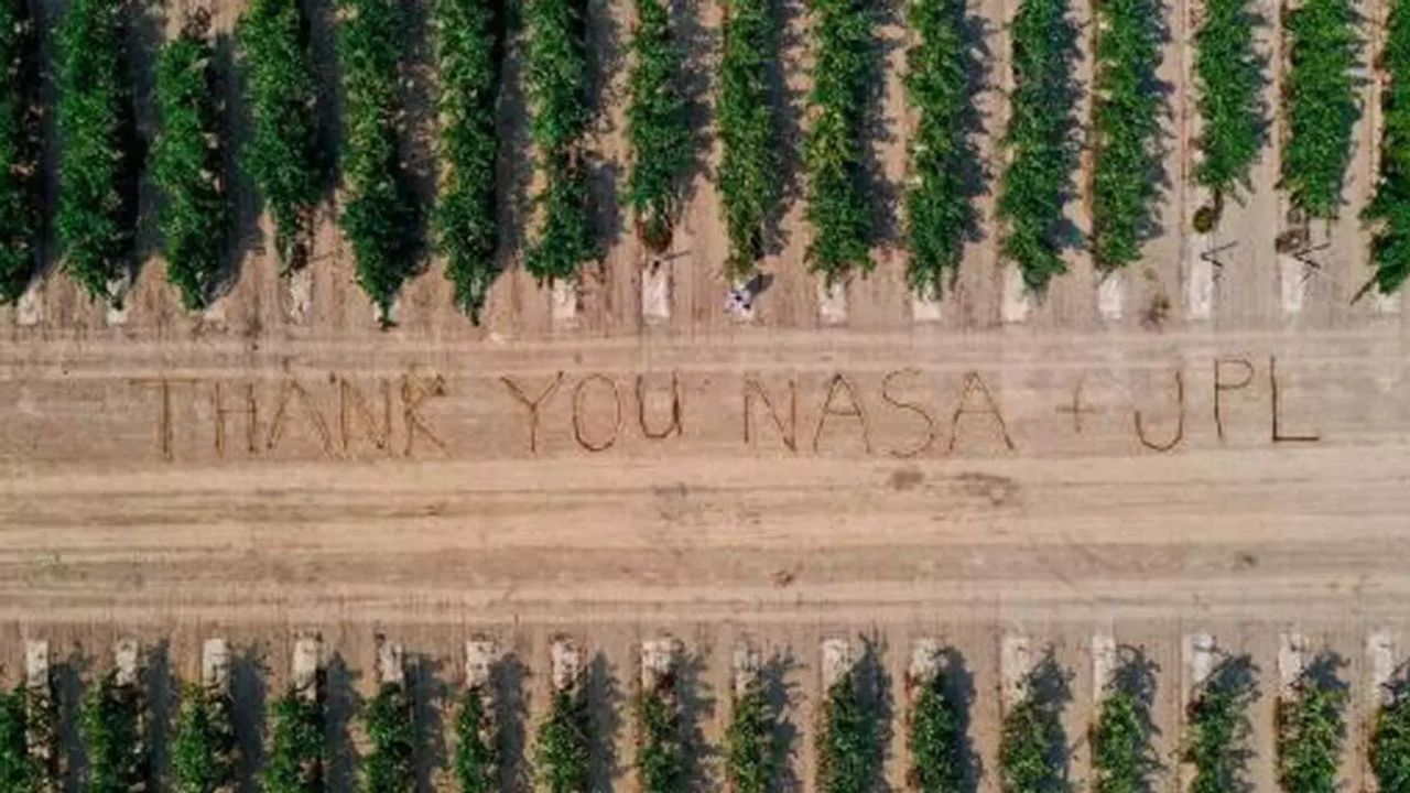 NASA'nın Hava Bilim Aracı Üzüm Hastalığıyla Savaşıyor