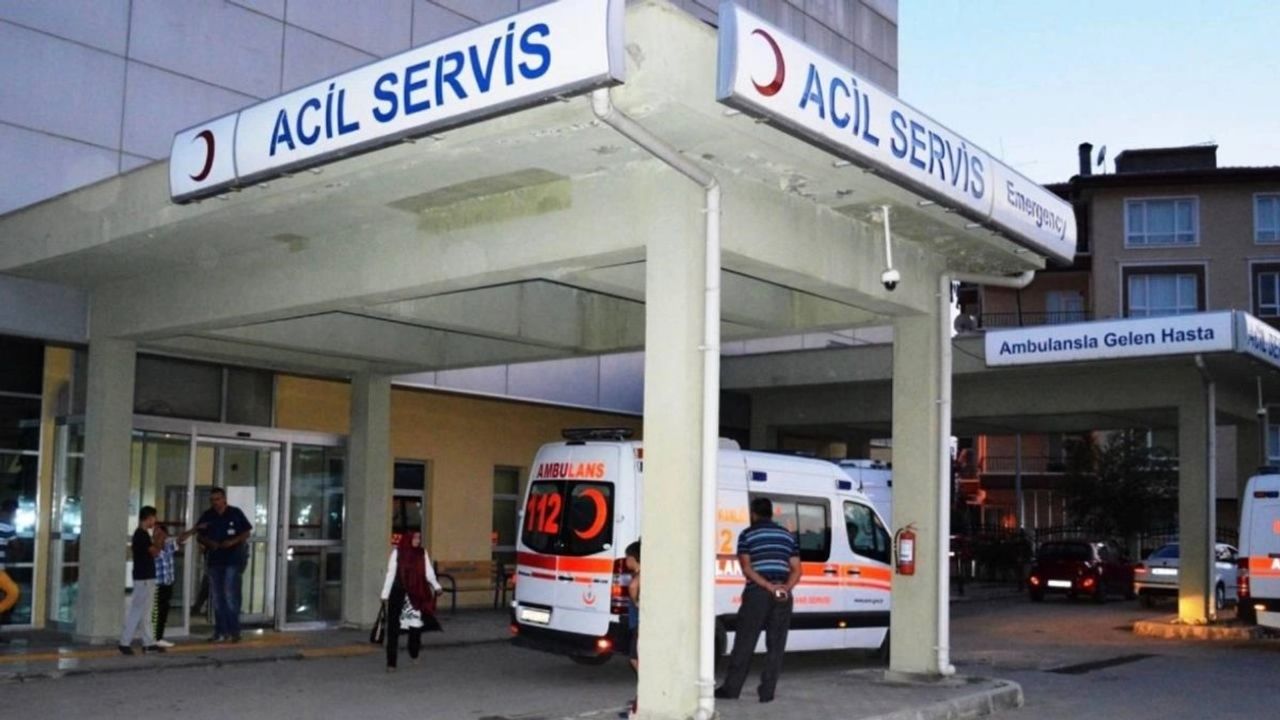 Taşova ve İstanbul'da Gıda Zehirlenmesi Vakaları