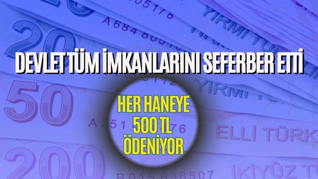 Yarın Sabah Her Haneye 500-700-800 TL Ödeme! E-Devlet Başvurusu Açıldı