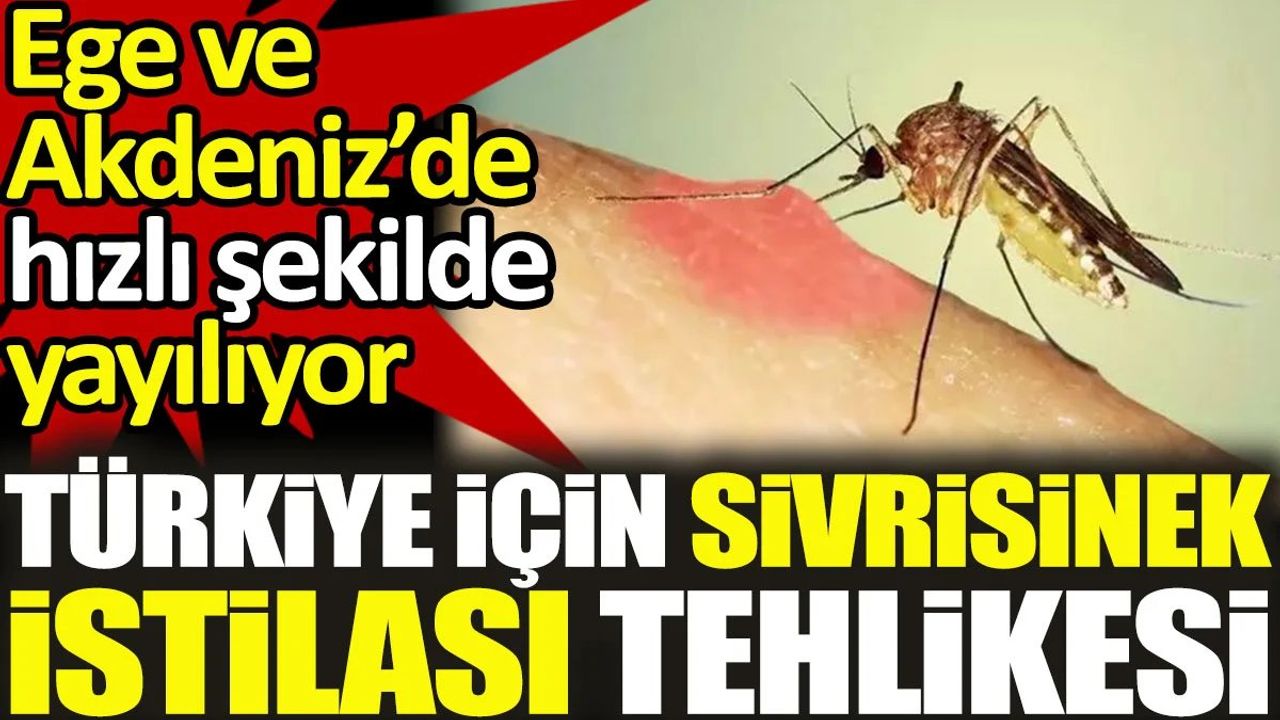 Türkiye için sivrisinek istilası tehlikesi