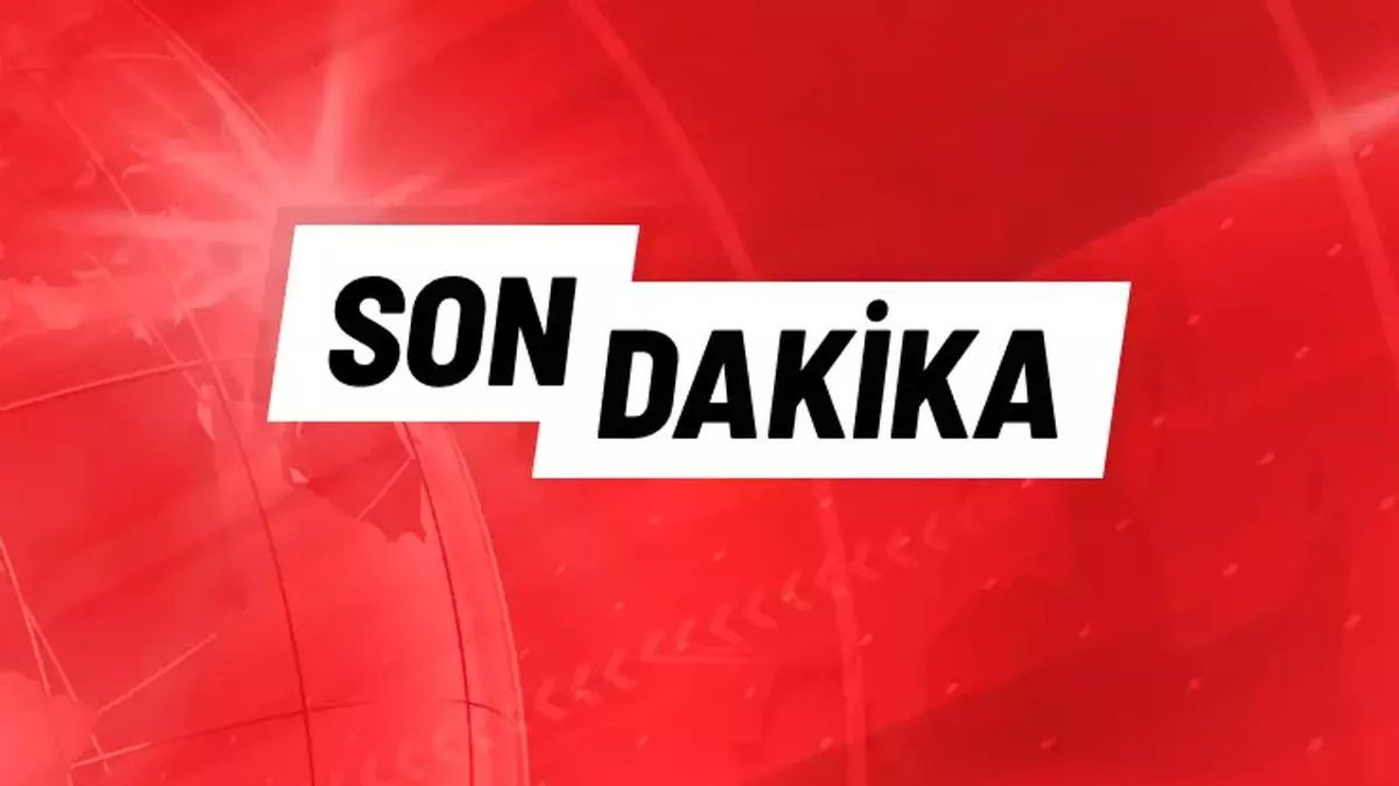 Beşiktaş Teknik Direktörü Şenol Güneş Transfer Hakkında Açıklama Yaptı