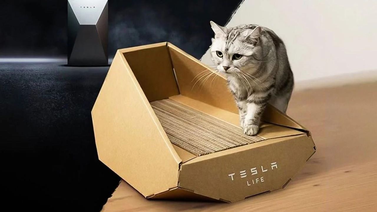 Tesla, Cybertruck İlhamlı Kedi Yatağını Piyasaya Sürdü