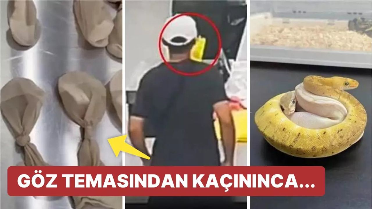 Gümrükte Akılalmaz Olay: Cebinden 14 Adet 'Canlı Yılan' Çıktı