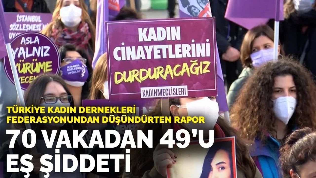 Ev İçi Şiddet Acil Yardım Hattı Temmuz 2023 Veri ve Analiz Raporu