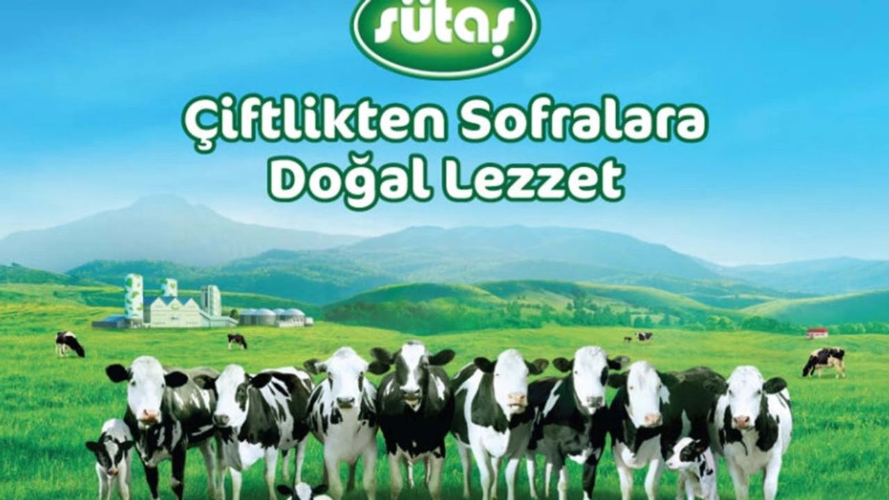 Sütaş 2022'de İhracatta Rekor Kırdı