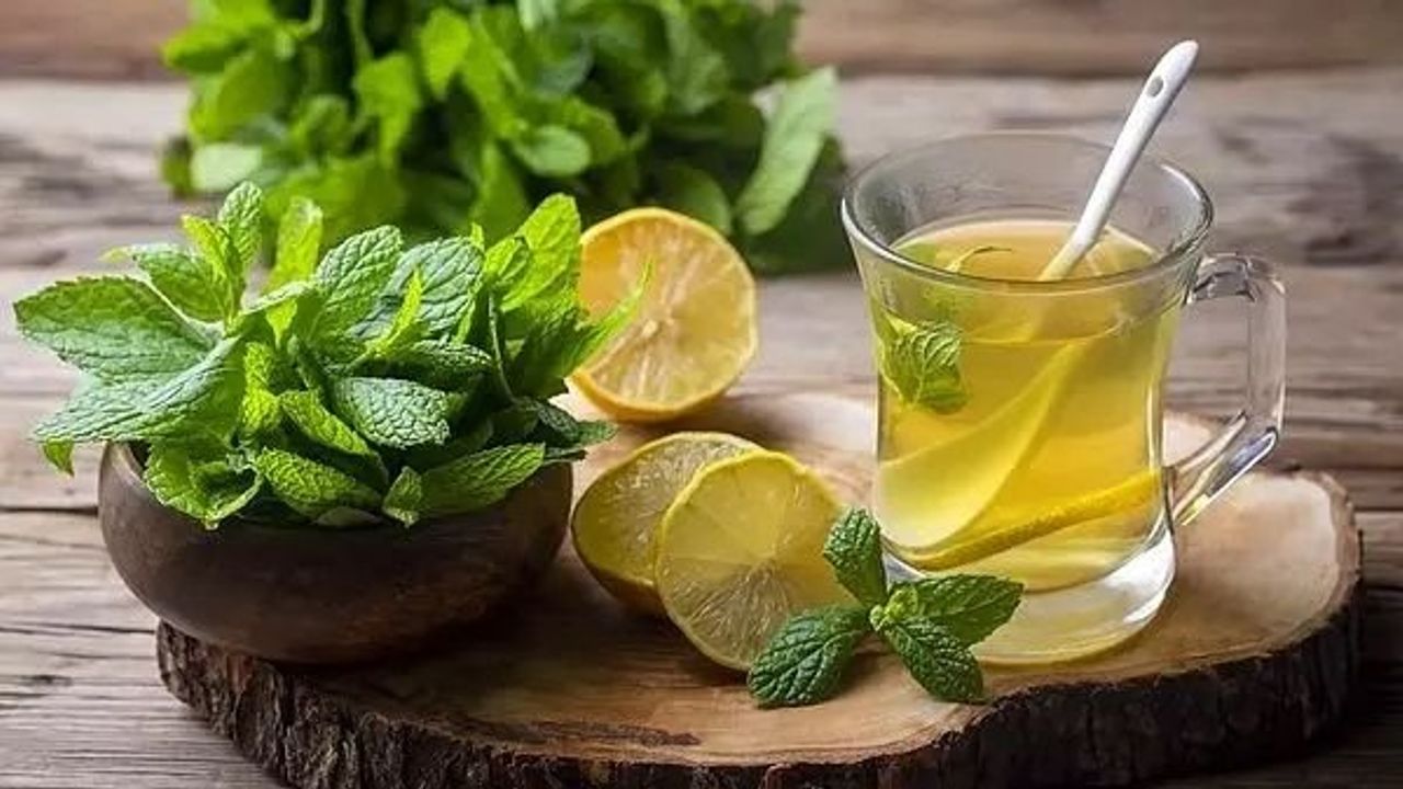 Karaciğer Sağlığı ve Önemi