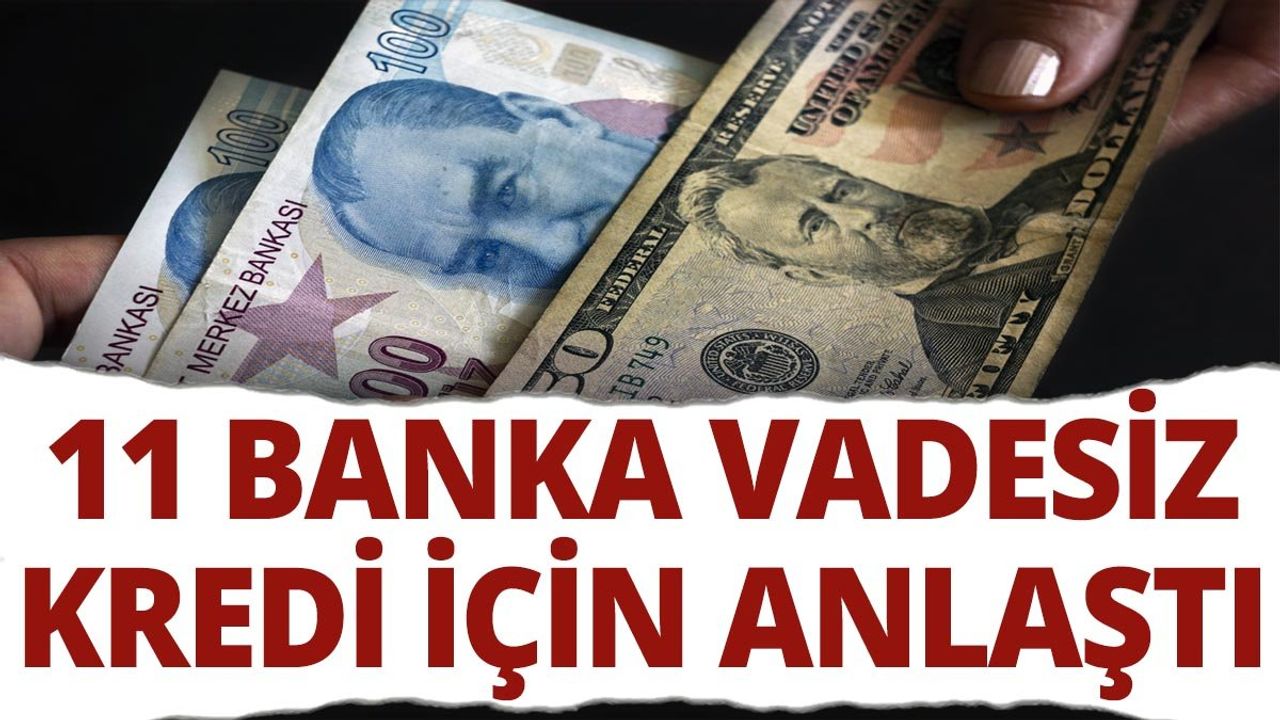 11 Banka Vadesiz Kredi İçin Anlaştı