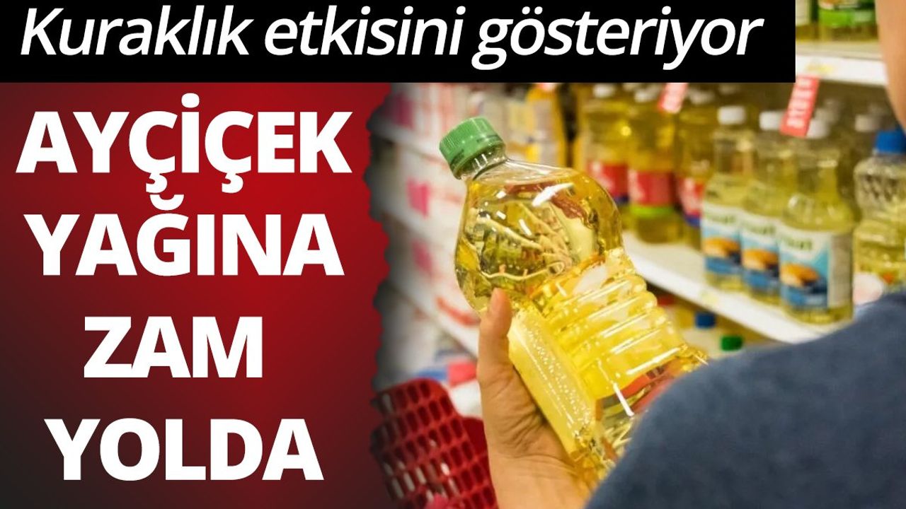Ayçiçek Yağına Zam Yolda