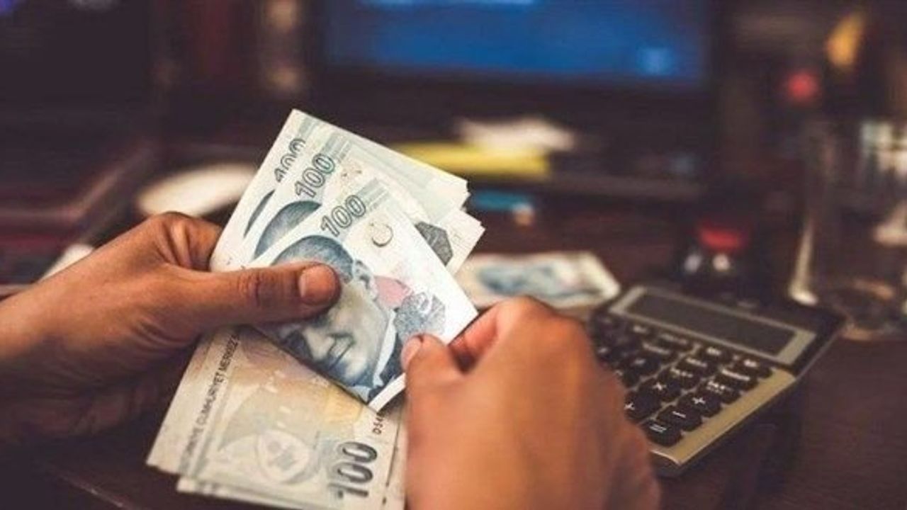 e-Devlet Üzerinden Alacak Sorgusu Nasıl Yapılır?