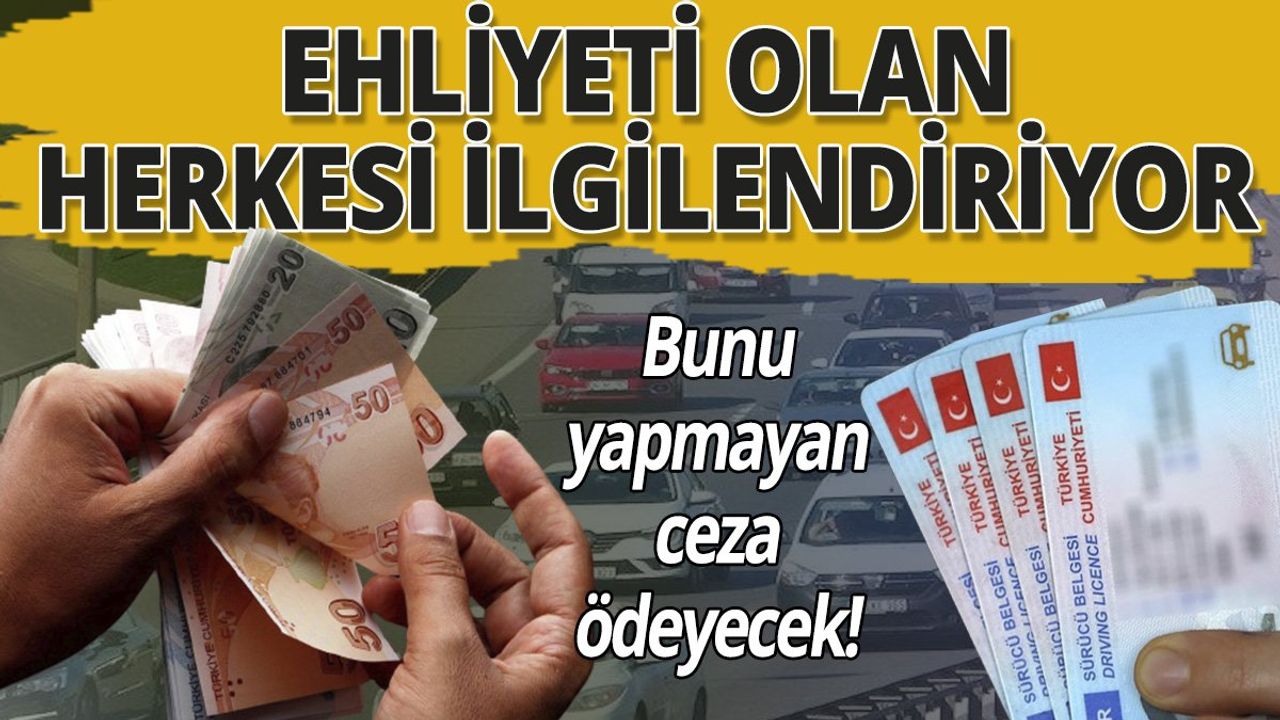 Eski Tip Ehliyet Yenileme Detayları Belli Oldu