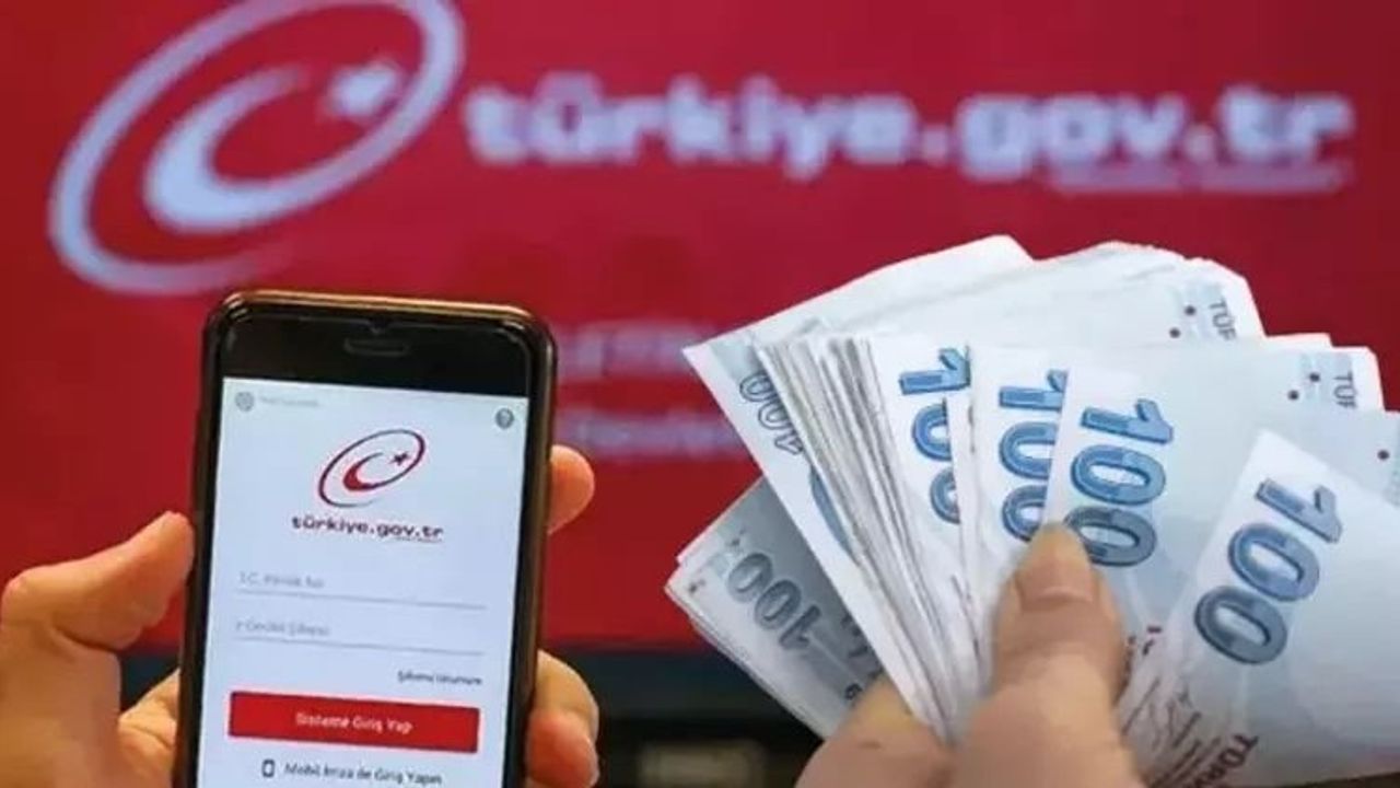 e-Devlet Üzerinden Sorgulama Nasıl Yapılır?