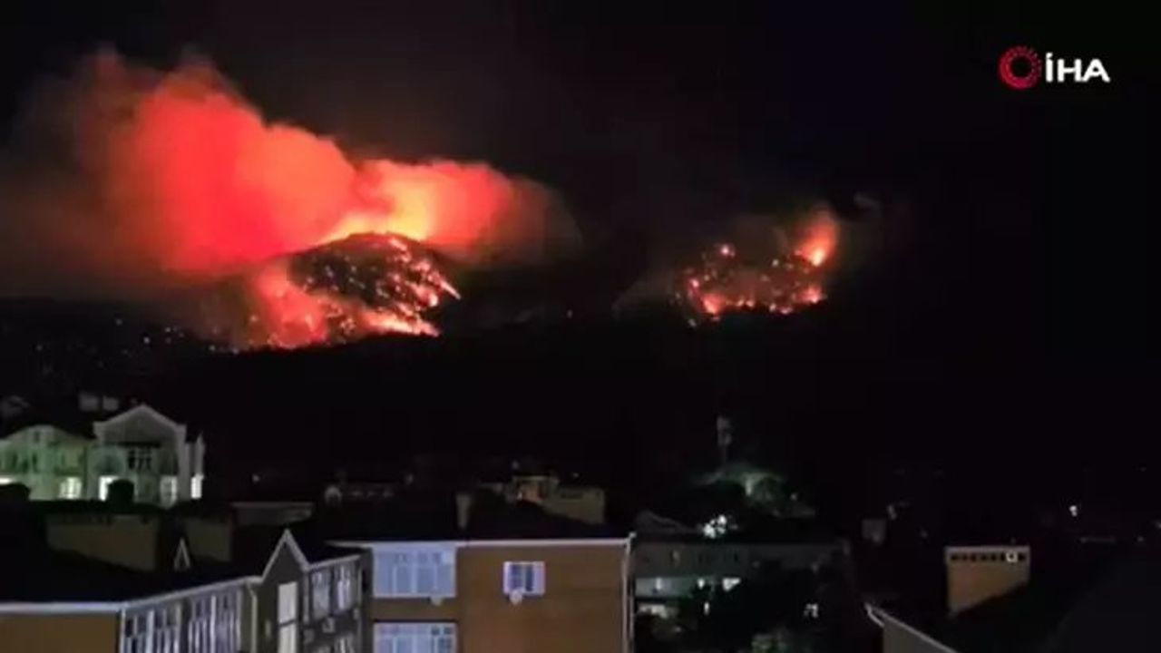 Rusya'da Gelencik'teki Orman Yangını Sürüyor