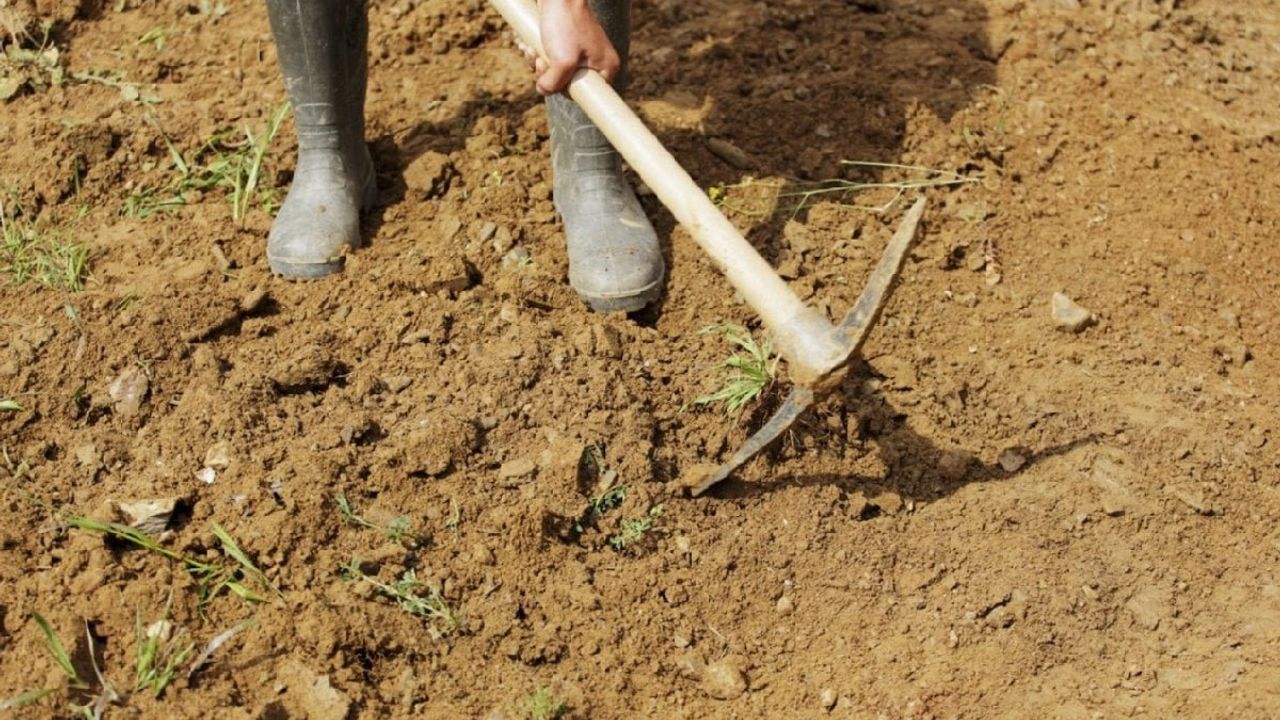 Kazmayı Vurdukça Gözleri Açıldı! Toprağın Altından Öyle Bir Şey Çıktı Ki…