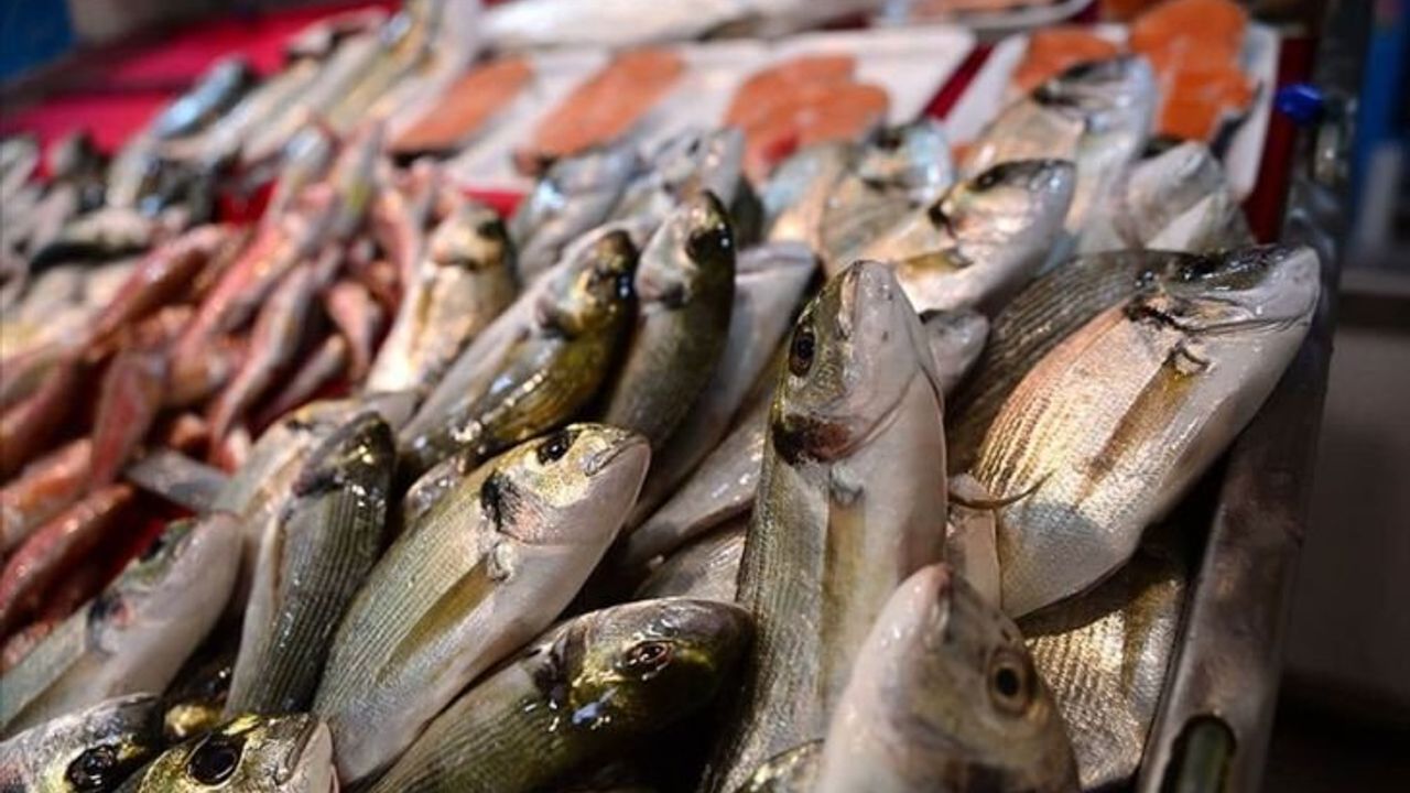 CarrefourSA Marketleri Balık İndirimi Başladı