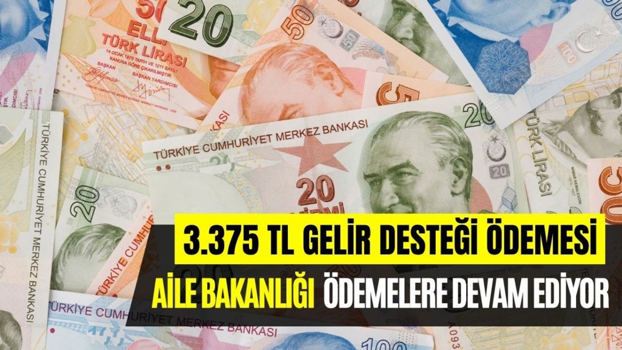 3375 TL Gelir Desteği Veriliyor! Aile ve Sosyal Hizmetler Bakanı Duyurdu