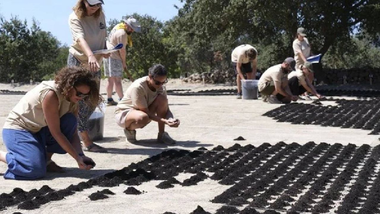 Aşık Veysel'in Bodrum'da Dev Portresi Yapıldı